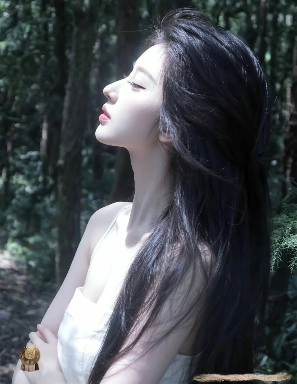 灯火算法·终章